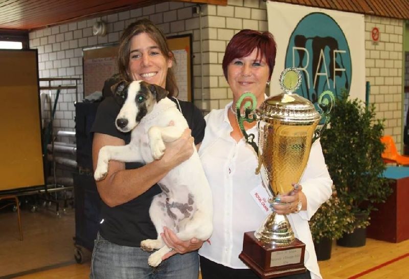 du Manoir Saint Adrien - DOG SHOW CACS SPECIALE DE RACE SAULIEU LE 11/06/17