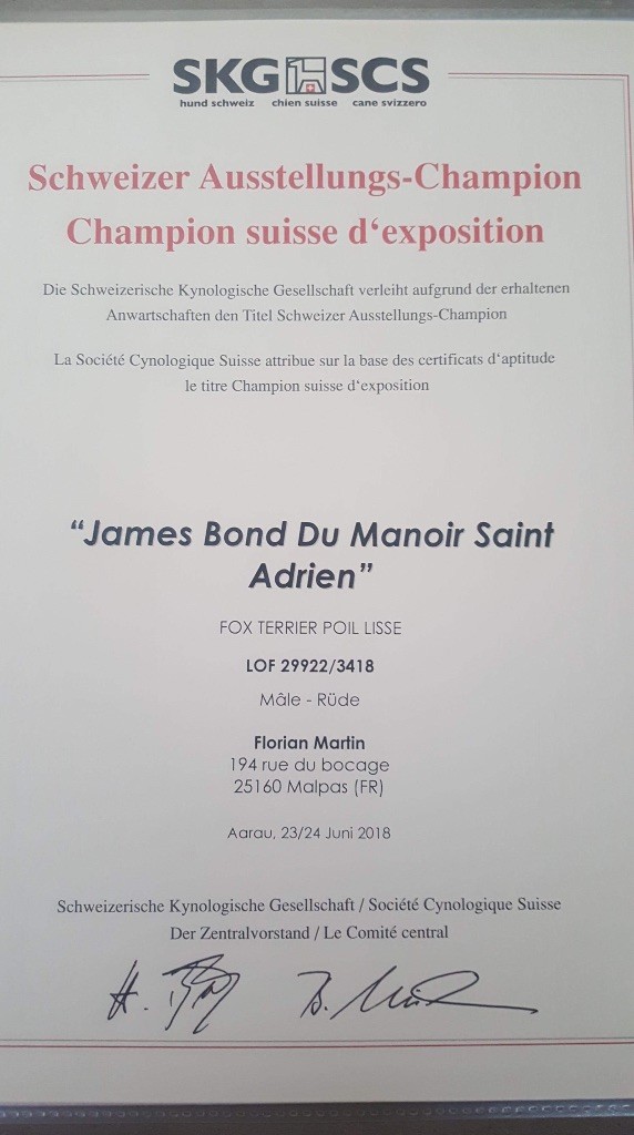 CH. James bond du Manoir Saint Adrien