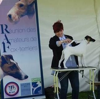 du Manoir Saint Adrien - DOG SHOW NATIONAL CACS  - BAILLEUL SUR THERAIN - MAI 2018