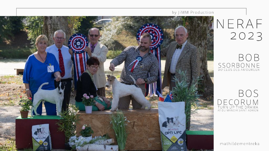 du Manoir Saint Adrien - KEVIN GCH DECORUM TURN UP THE DRAMA - RESERVE BEST IN SHOW A LA NE 23