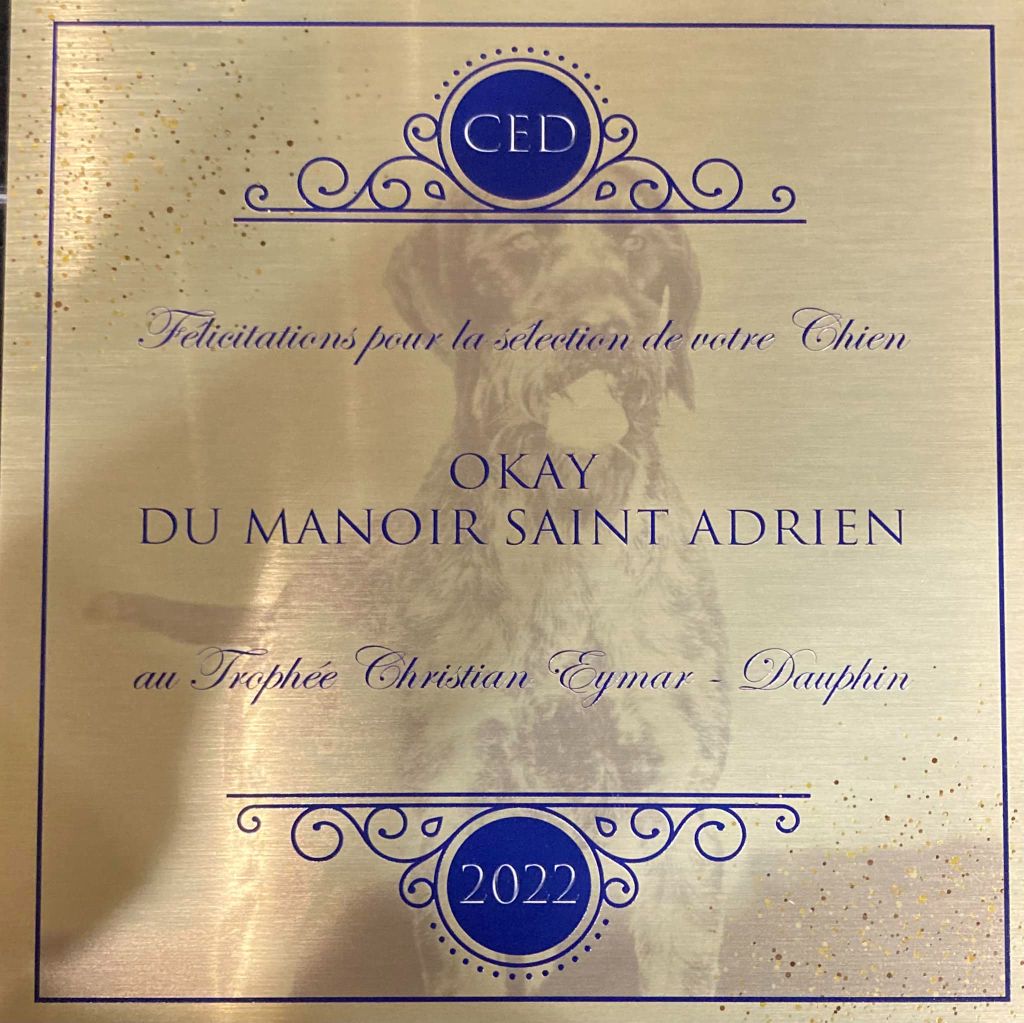 du Manoir Saint Adrien - TROPHEE CHRISTIAN EYMAR DAUPHIN - MEILLEURS CHIENS ANNEE 2022
