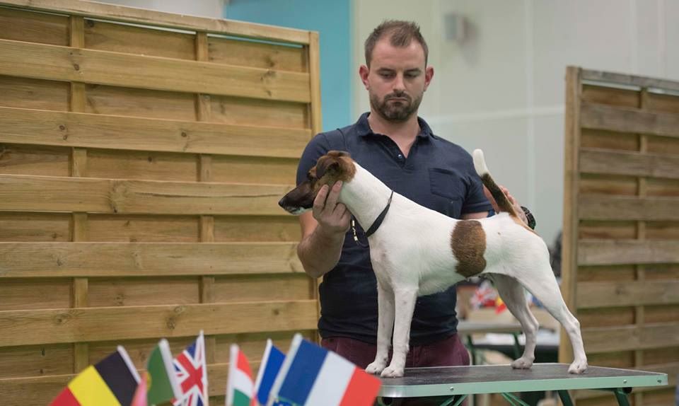 du Manoir Saint Adrien - DOG SHOW INTERNATIONAL PALEXPO EN SUISSE LE 18/19/20 NOVEMBRE 2017