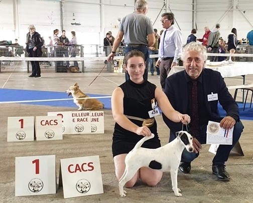 du Manoir Saint Adrien - NATIONAL DOG SHOW CACS METZ - 02/11/19