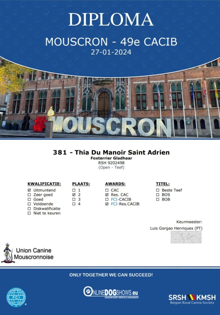 du Manoir Saint Adrien - THIA - DOG SHOW INTERNATIONAL - MOUSCRON BELGIQUE LE 27/01/2024