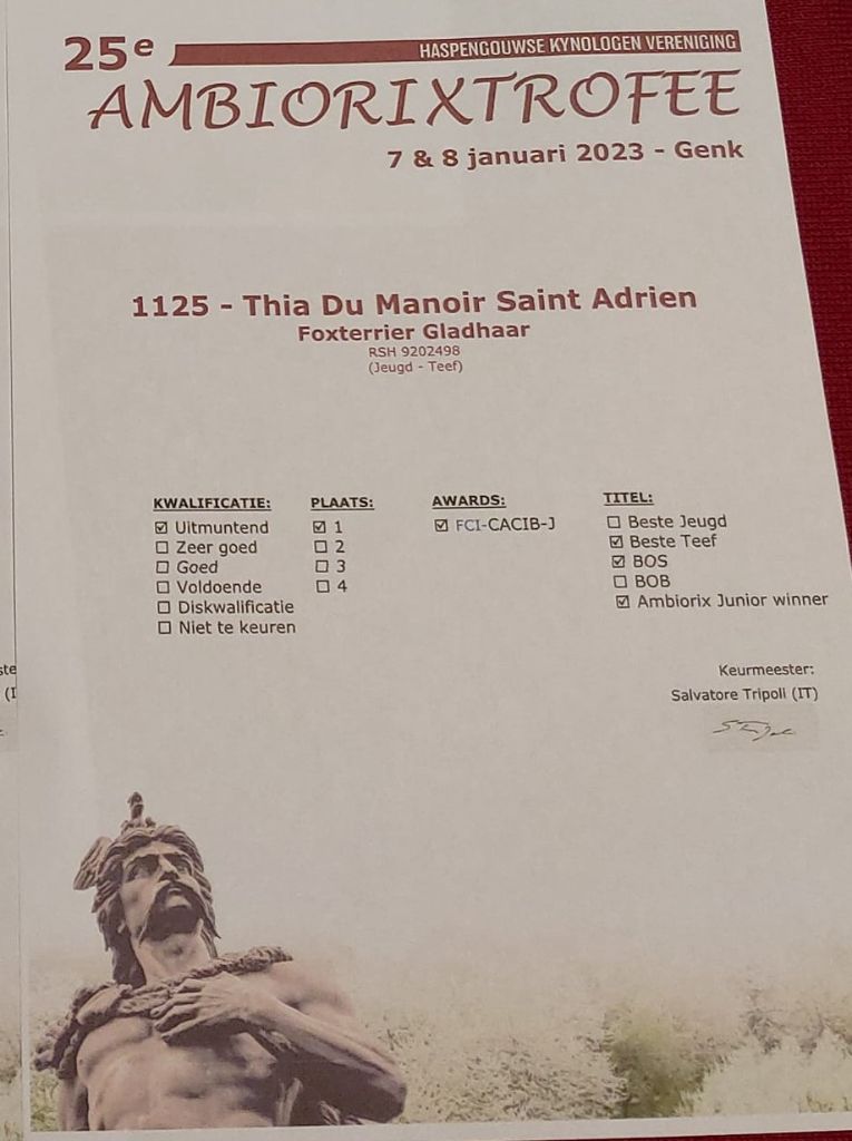 du Manoir Saint Adrien - SHOW INTERNATIONAL BELGIQUE - GENK - 08/01/23