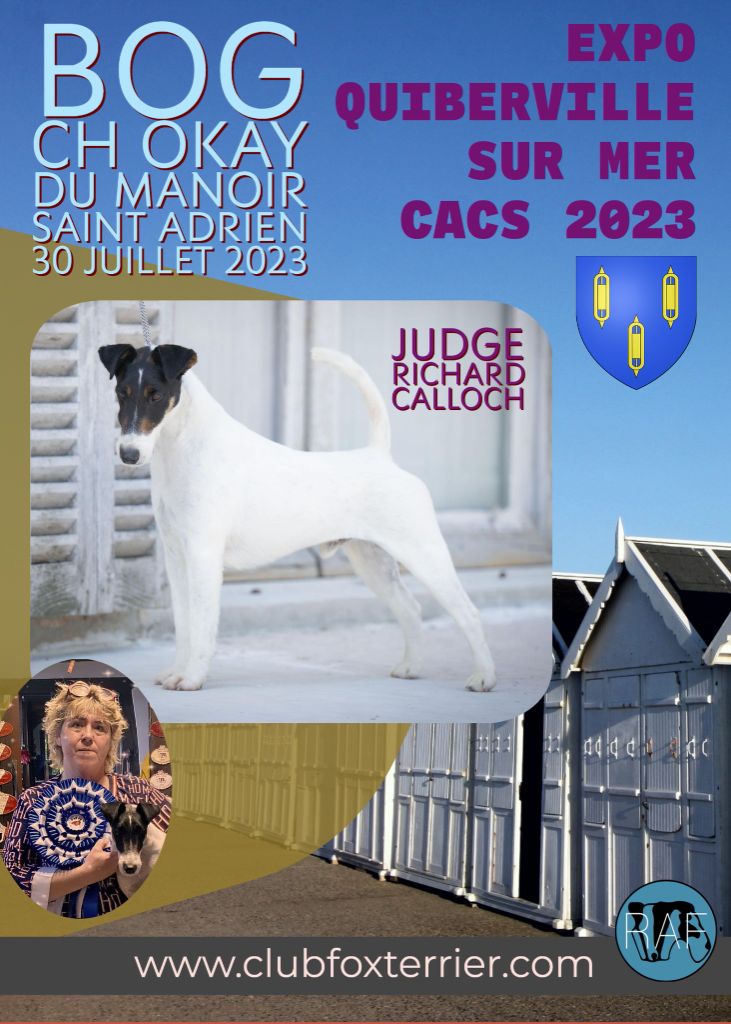 du Manoir Saint Adrien - MEILLEUR CHIEN DU 3EME GROUPE - QUIBERVILLE - LE 30/07/2023