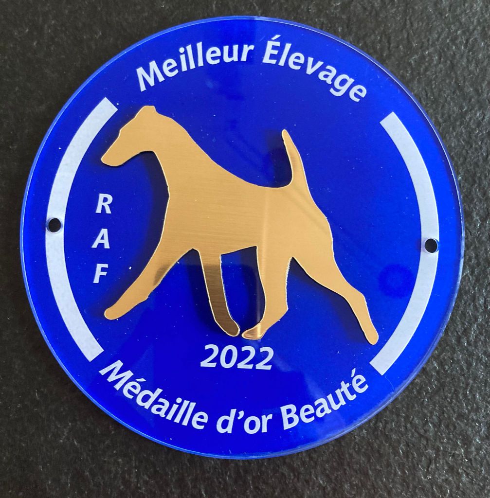 du Manoir Saint Adrien - MEILLEUR ELEVAGE - MEDAILLE D'OR BEAUTE 2022