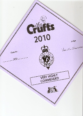 du Manoir Saint Adrien - Cruft's 2010 - Belfox Folk dit Milou -  Exposition en Angleterre