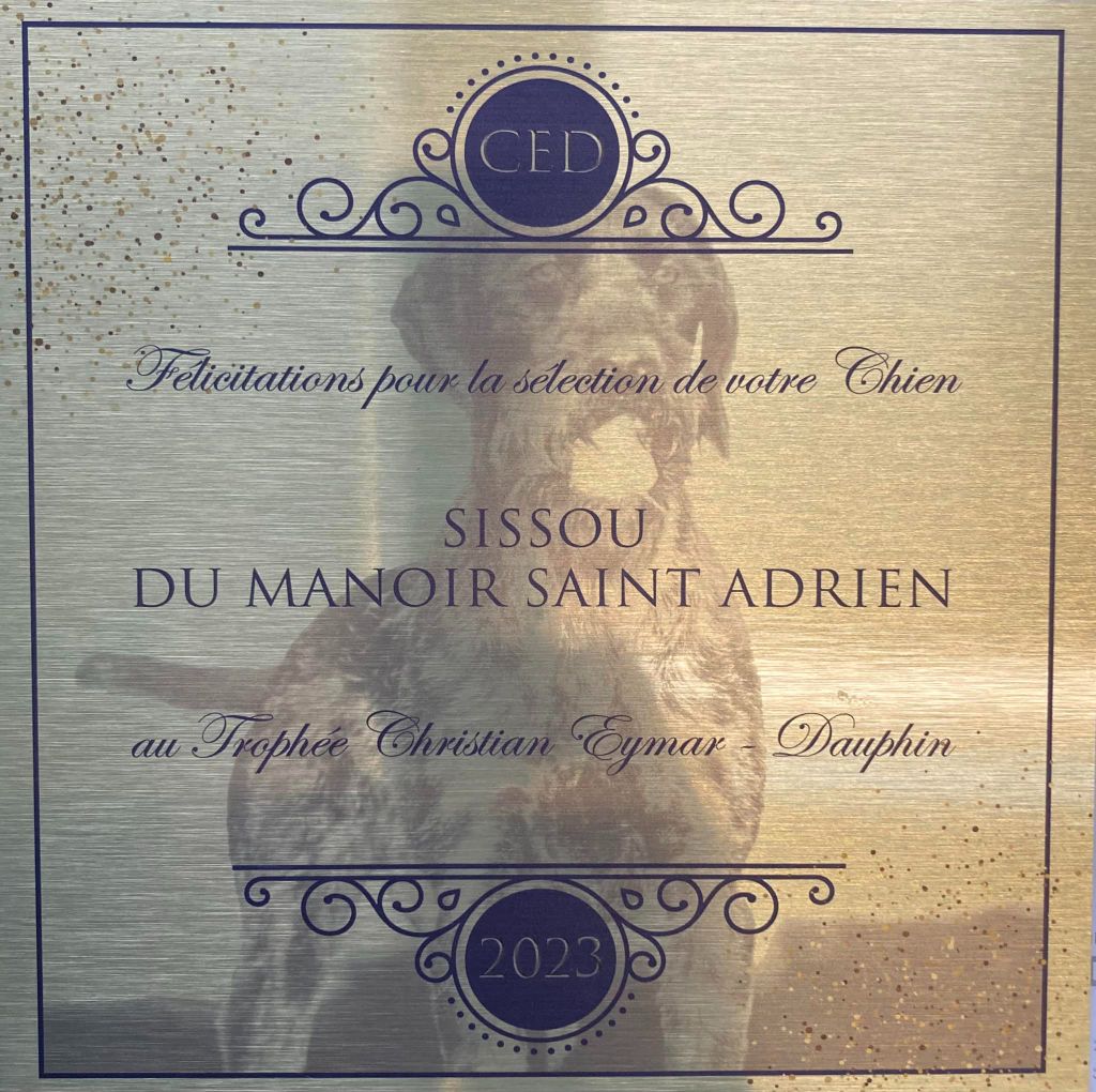du Manoir Saint Adrien - CH SISSOU - TROPHEE CHRISTIAN EYMAR-DAUPHIN