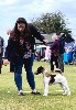  - DOG SHOW EN UK - SPIRIT DIT HENRI DU MANOIR SAINT ADRIEN - 27/05/22 
