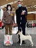  - 2EME JOUR CH RIANA KARLSRUHE INTERNATIONAL DOG SHOW EN ALLEMAGNE
