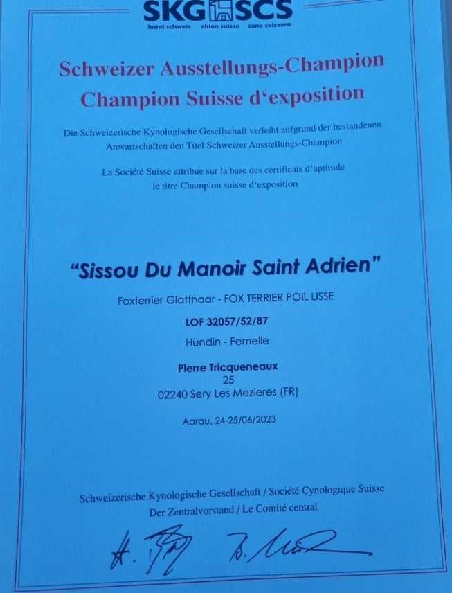 du Manoir Saint Adrien - NOUVELLE CHAMPION SUISSE D'EXPOSITION - 24/26/06/2023 - SISSOU