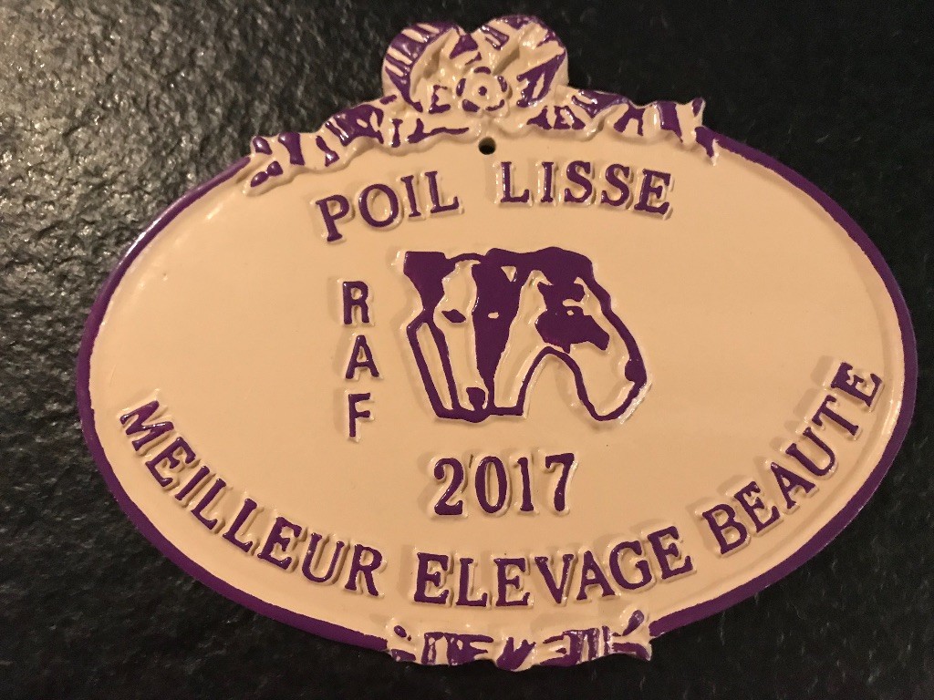 du Manoir Saint Adrien - MEILLEUR ELEVAGE BEAUTE 2017, 2016, 2015, 2014, 2013