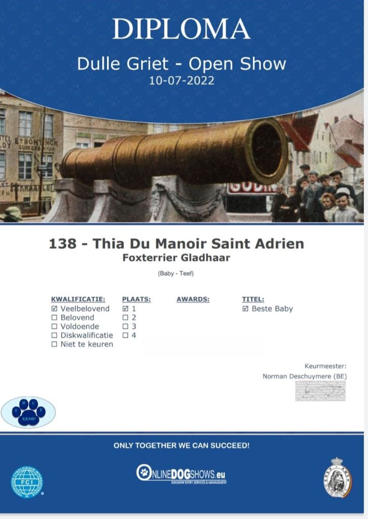 du Manoir Saint Adrien - UNE PETITE SORTIE EN EXPOSITION POUR LA JEUNE THIA
