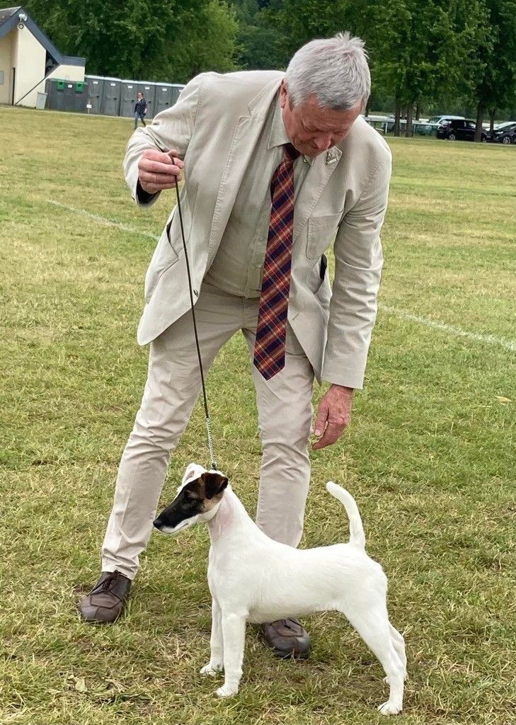 du Manoir Saint Adrien - CH SISSOU - INTERNATIONAL DOG SHOW - 31/03/23