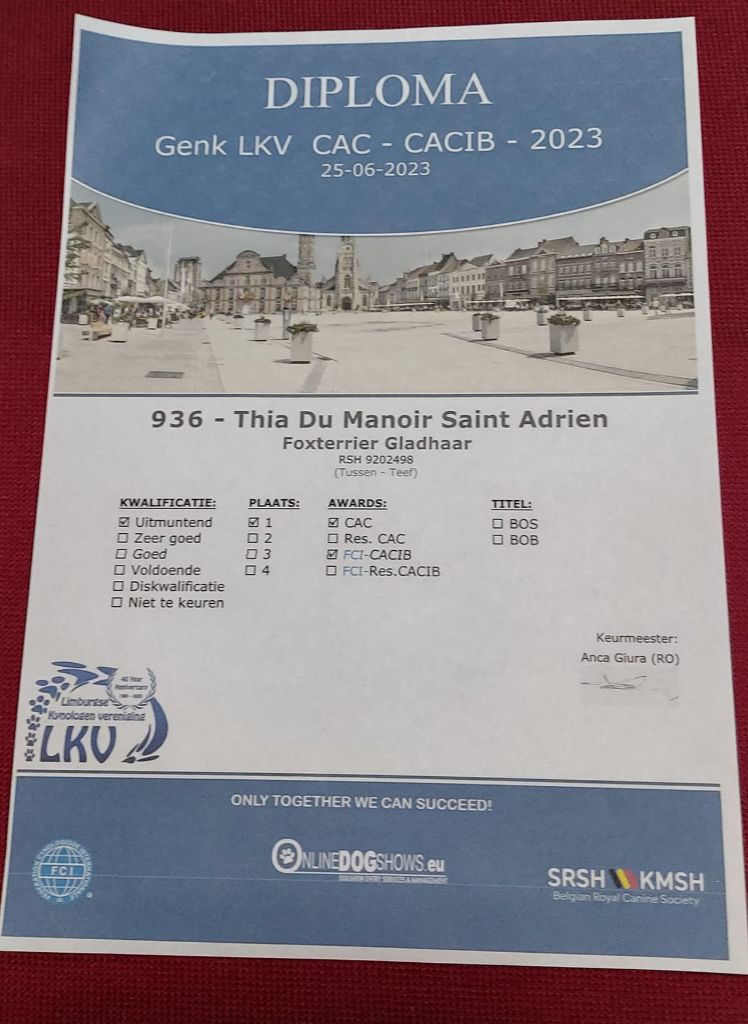 du Manoir Saint Adrien - THIA DU MANOIR SAINT ADRIEN - CAC/CACIB GENK - 25/06/2023 