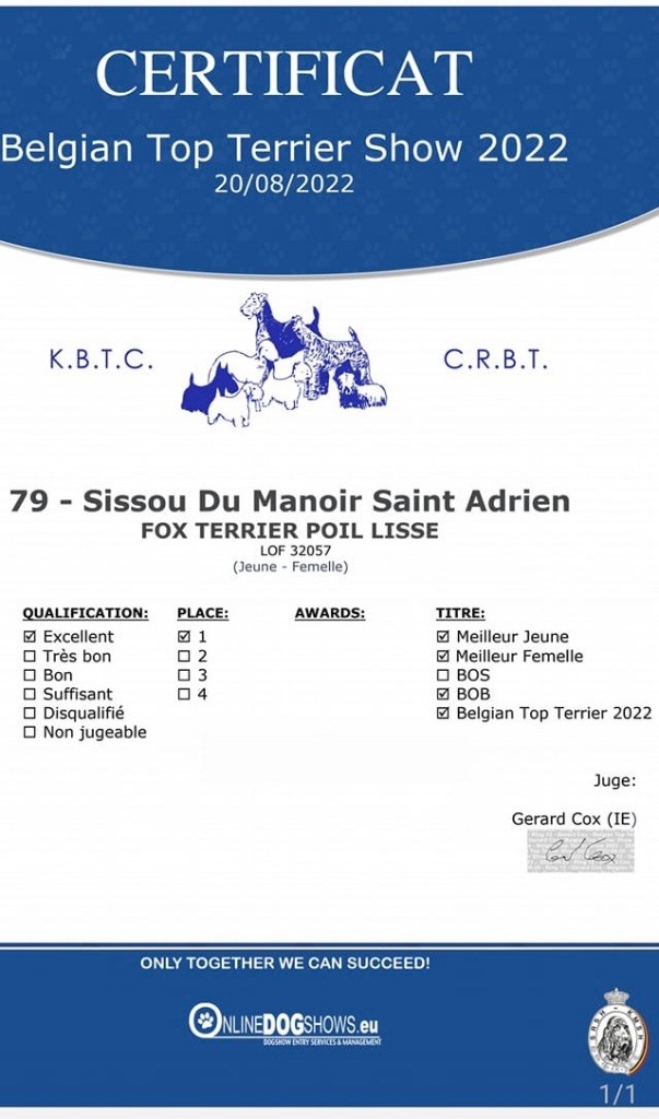 du Manoir Saint Adrien - SISSOU ET THIA A LA BELGIAN TOP TERRIER SHOW 2022 - CAC - MECHELEN