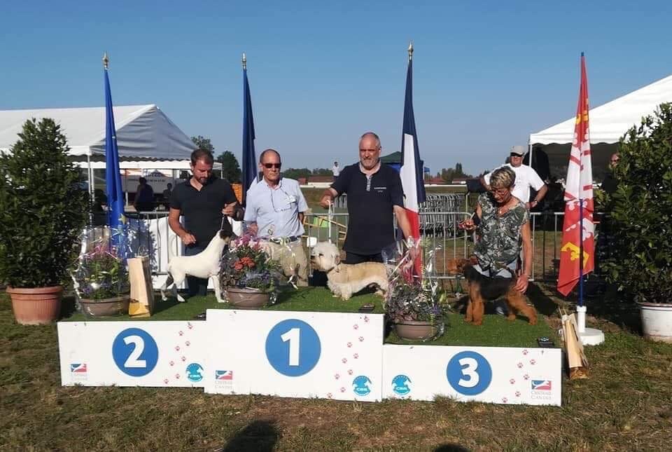 du Manoir Saint Adrien - DOG SHOW NATIONAL - CACS STRASBOURG LE 19/08/18