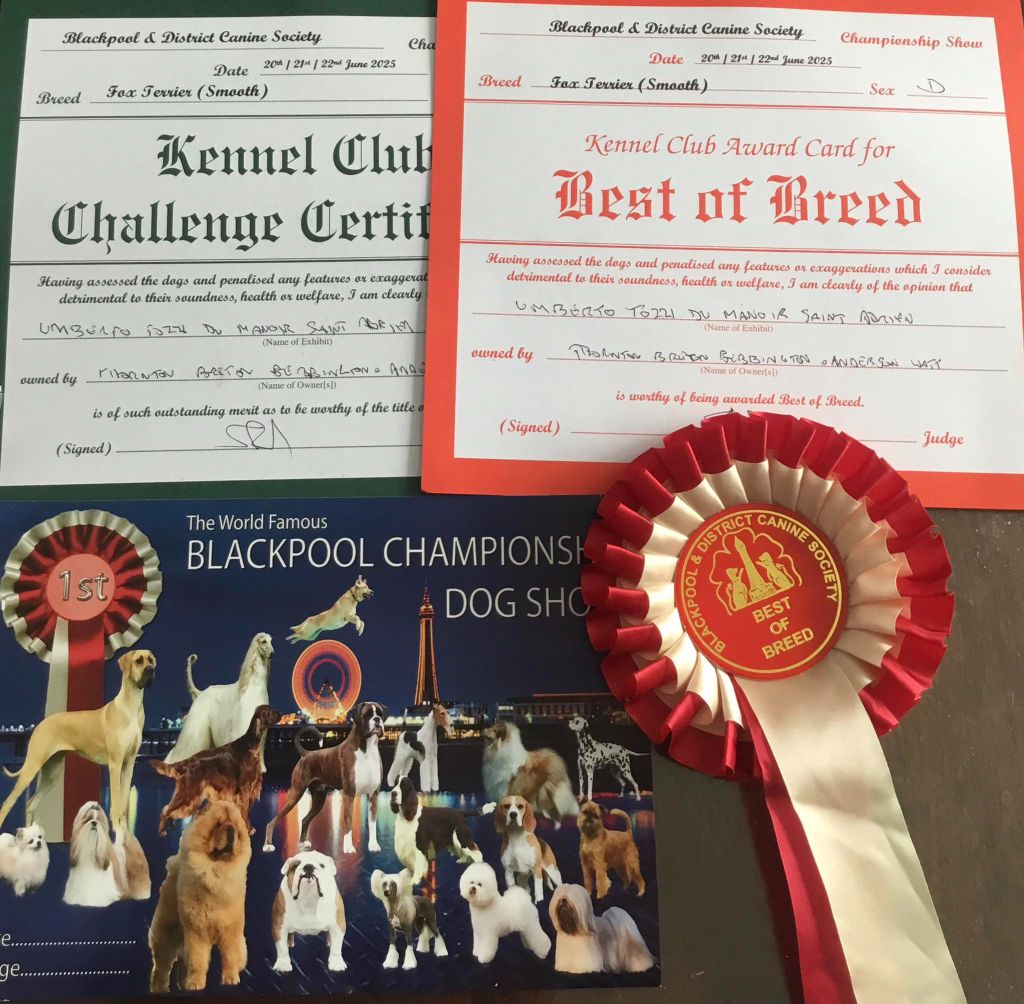 du Manoir Saint Adrien - 5ème DOG CHALLENGE CERTIFICATE POUR UMBERTO TOZZI  LE 22/06/25