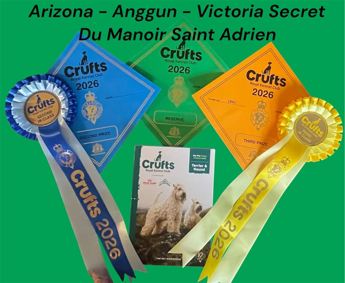 du Manoir Saint Adrien - CRUFTS 2026 - EN ANGLETERRE