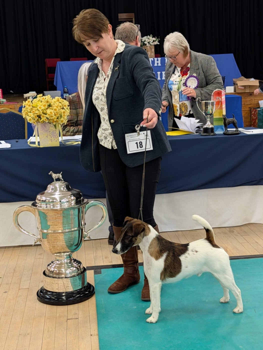 du Manoir Saint Adrien - INDIAN SPIRIT dit HENRI DU MANOIR SAINT ADRIEN - BEST OF BREED - DISTRICT KENNEL ASSOCIATION EN ANGLETERRE