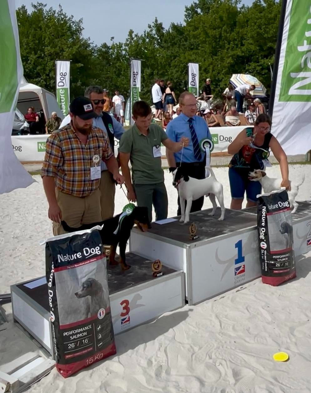 GAME FAIR 2026 PRESTICIEUSE FETE DE LA CHASSE - ARIZONA DU MANOIR SAINT ADRIEN A BRILLE