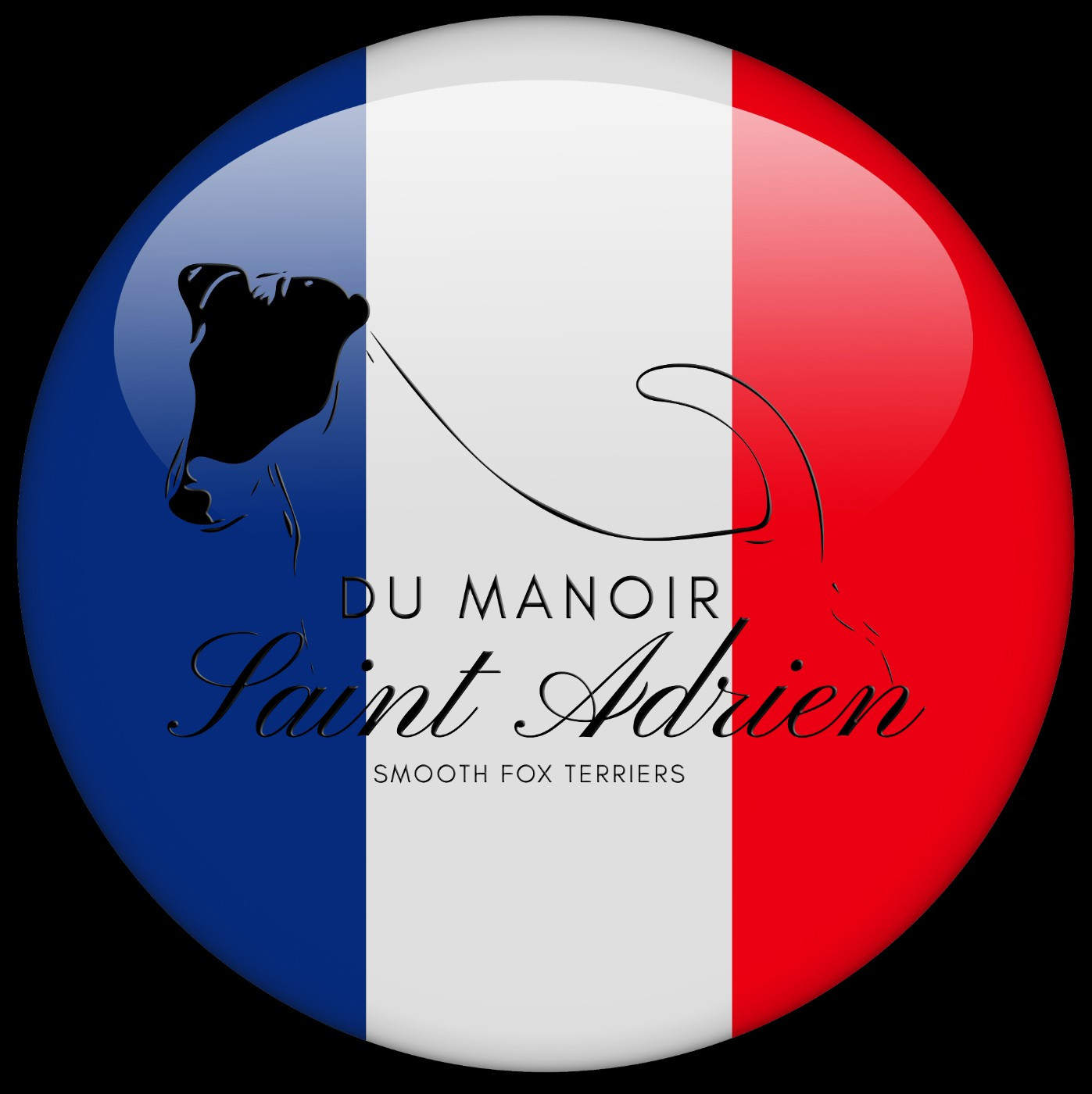 du Manoir Saint Adrien - MEILLEUR ELEVAGE BEAUTE POIL LISSE - MEDAILLE D'OR (Depuis 2013)
