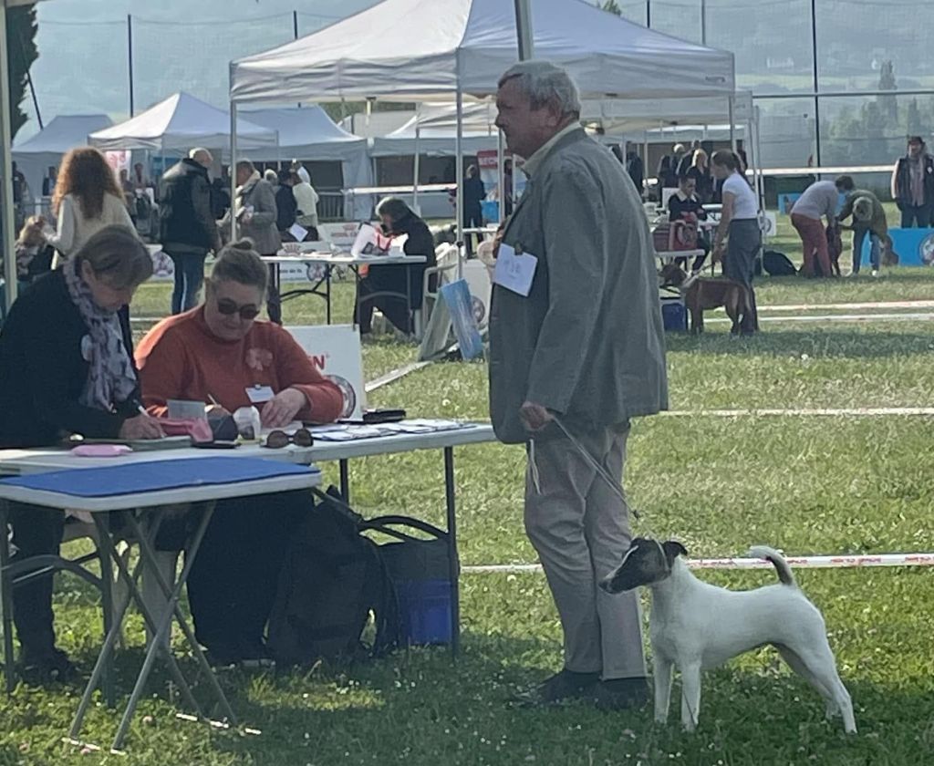 DOG SHOW NATIONAL CACS MOISSON (78) LE 10/05/2025