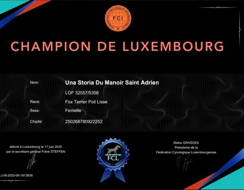 du Manoir Saint Adrien - CH UNA STORIA NOUVELLE CHAMPIONNE DU LUXEMBOURG