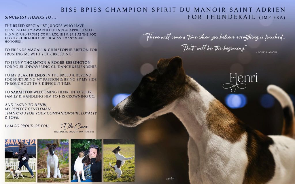 du Manoir Saint Adrien - CH UK SPIRIT DIT HENRI DU MANOIR SAINT ADRIEN